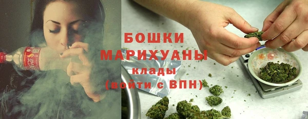 соль ск Арсеньев