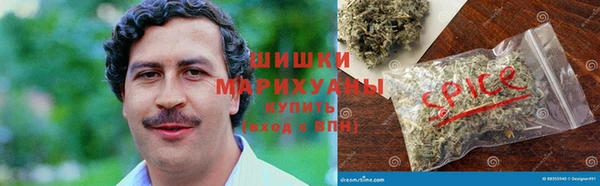 соль ск Арсеньев