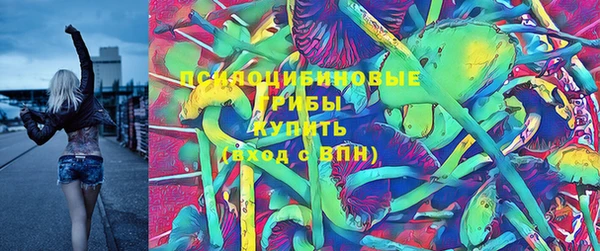 соль ск Арсеньев