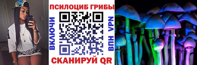 Псилоцибиновые грибы прущие грибы  что такое   Пучеж 